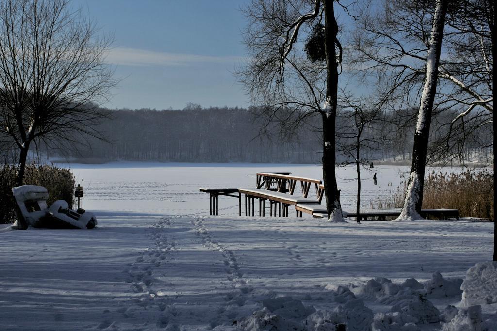 Stajnia Sarnowek Nad Jeziorem Rozany Bed & Breakfast Rozajny Wielkie Екстериор снимка